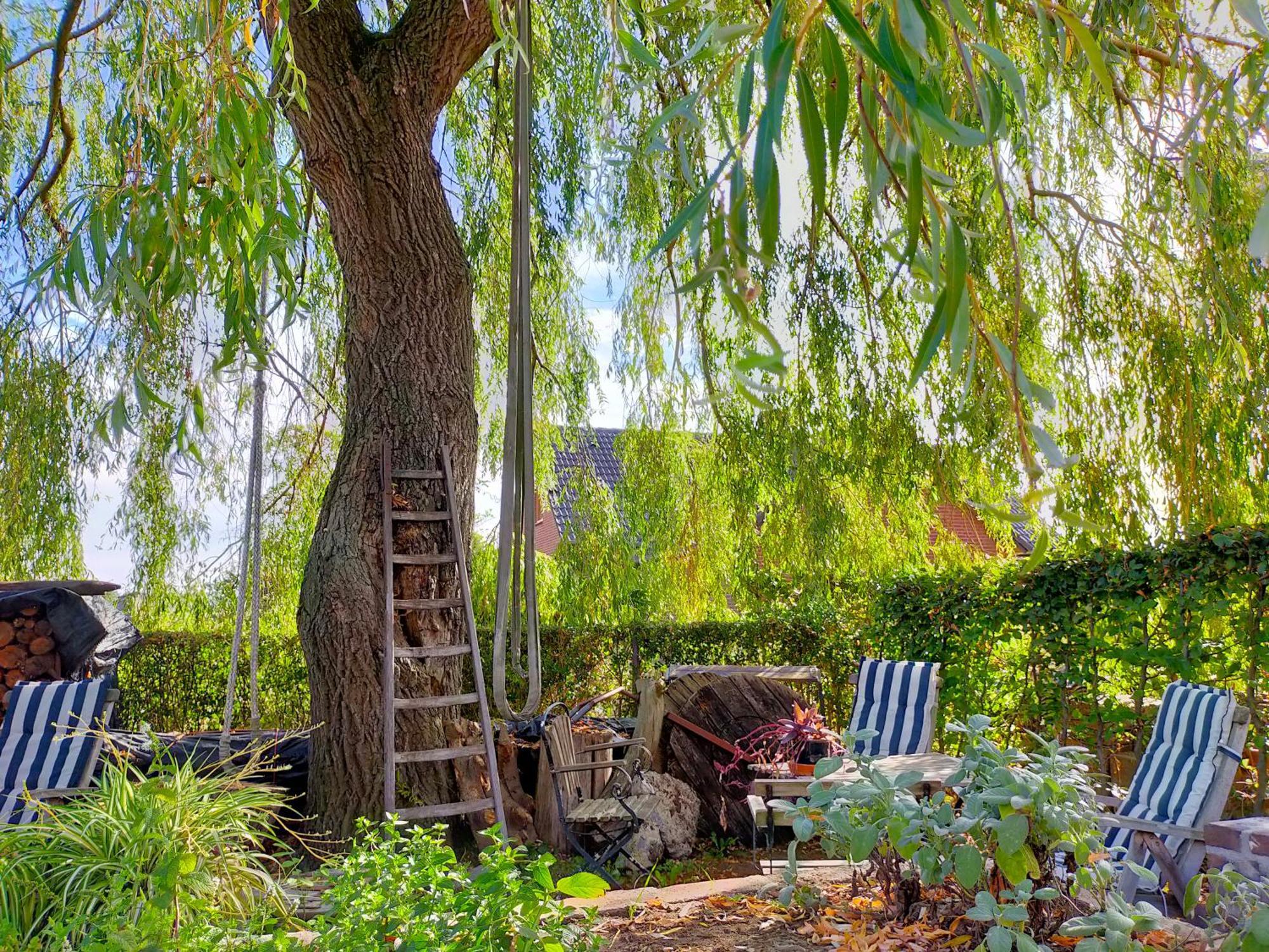 Aan De Molenberg Bed & Breakfast Broekhuizen  Bagian luar foto