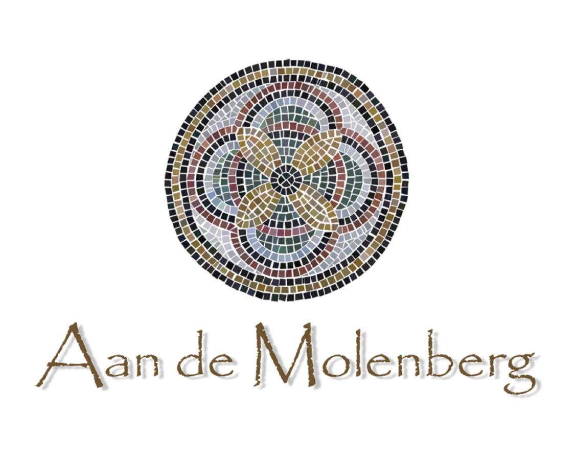 Aan De Molenberg Bed & Breakfast Broekhuizen  Bagian luar foto